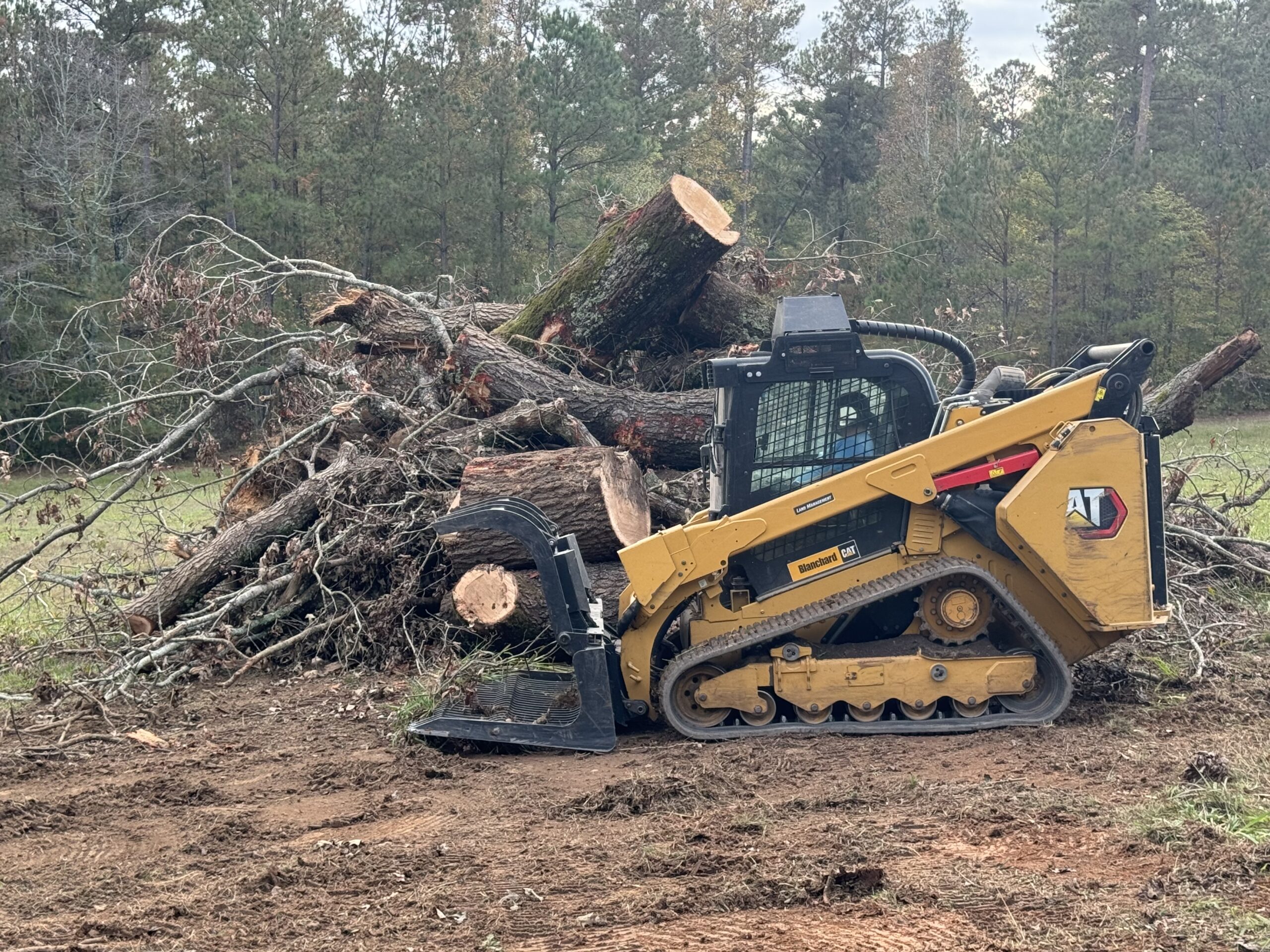 Skid steer next to a huge pile of trees. please leave us reviews